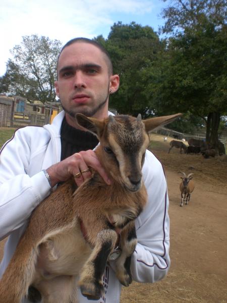 Allan et la biquette